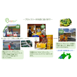 ブロッコリーがお店に並ぶまで🚙