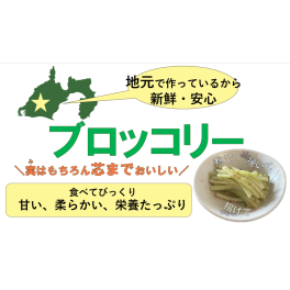 茎まで食べれます！🥦