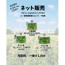 とうもろこし販売はじまります🌽